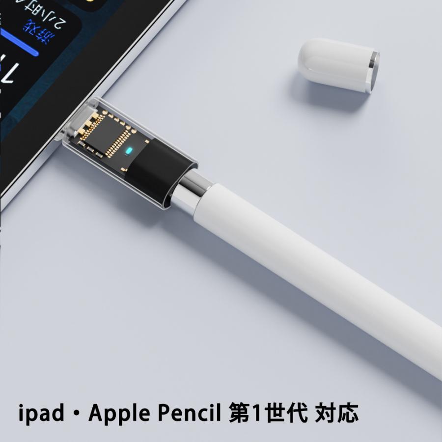 コネクタ Lightning to Type-C 変換 アダプタ iPad 第10世代 対応