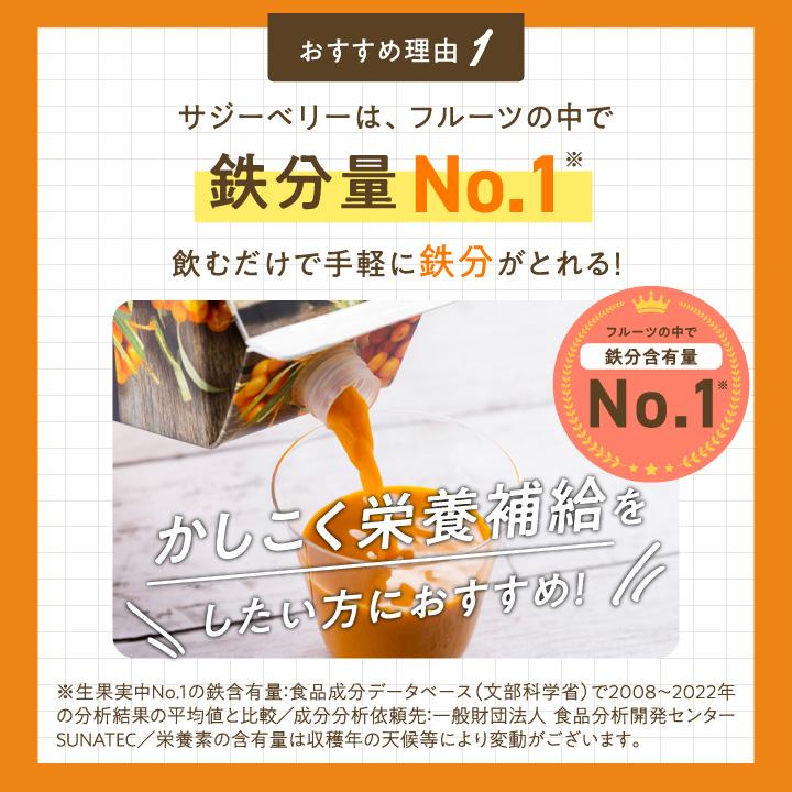 フィネス 豊潤サジー 1000ml サジージュース 紙パックタイプ 公式 200