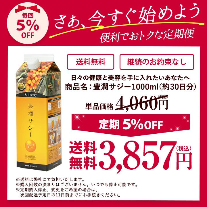 フィネス 豊潤サジー 1000ml サジージュース 紙パックタイプ 公式 200