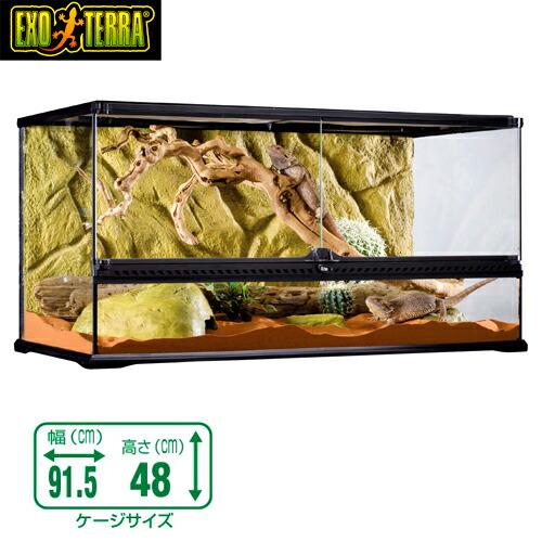 GEX（ジェックス） (爬虫類 用品)GEX グラステラリウム 9045 爬虫類