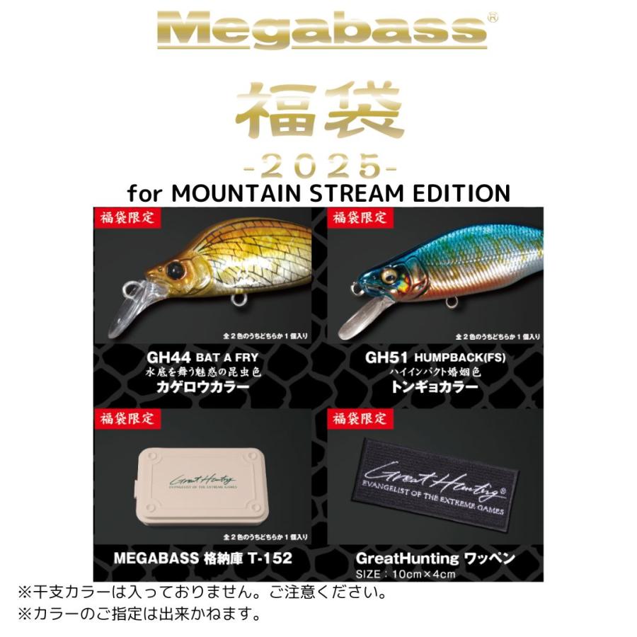 Megabass（メガバス） 2025年 メガバス福袋 渓流 爆買 : フィッシング