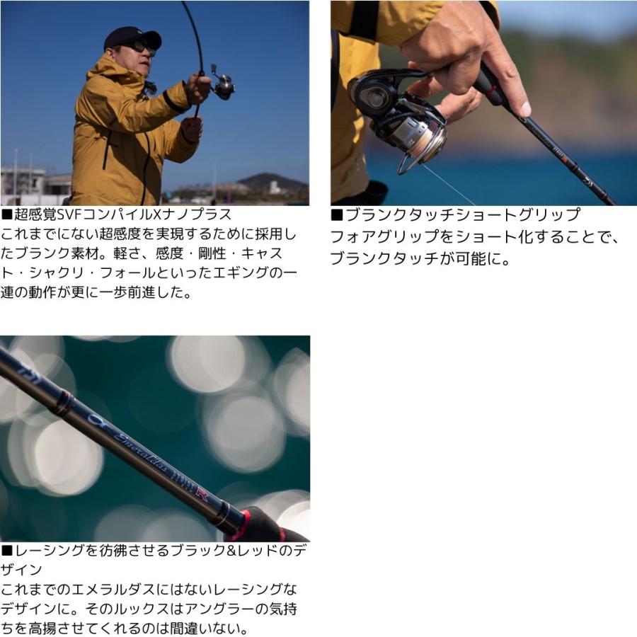 DAIWA（ダイワ） エメラルダス ストイスト RT 80LML 大型便A 2024年新