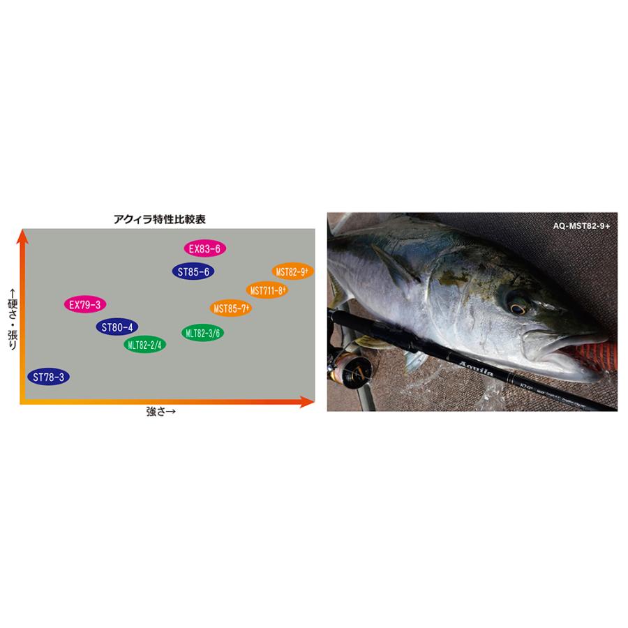 RippleFisher Aquila MST 82-9+ リップルフィッシャー アクイラ 青物