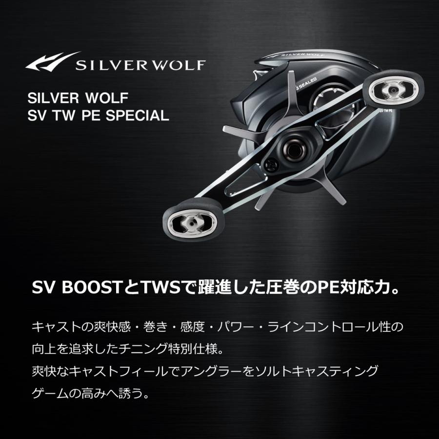 DAIWA（ダイワ） シルバーウルフ SV TW 1000XH PE SPECIAL（SILVER