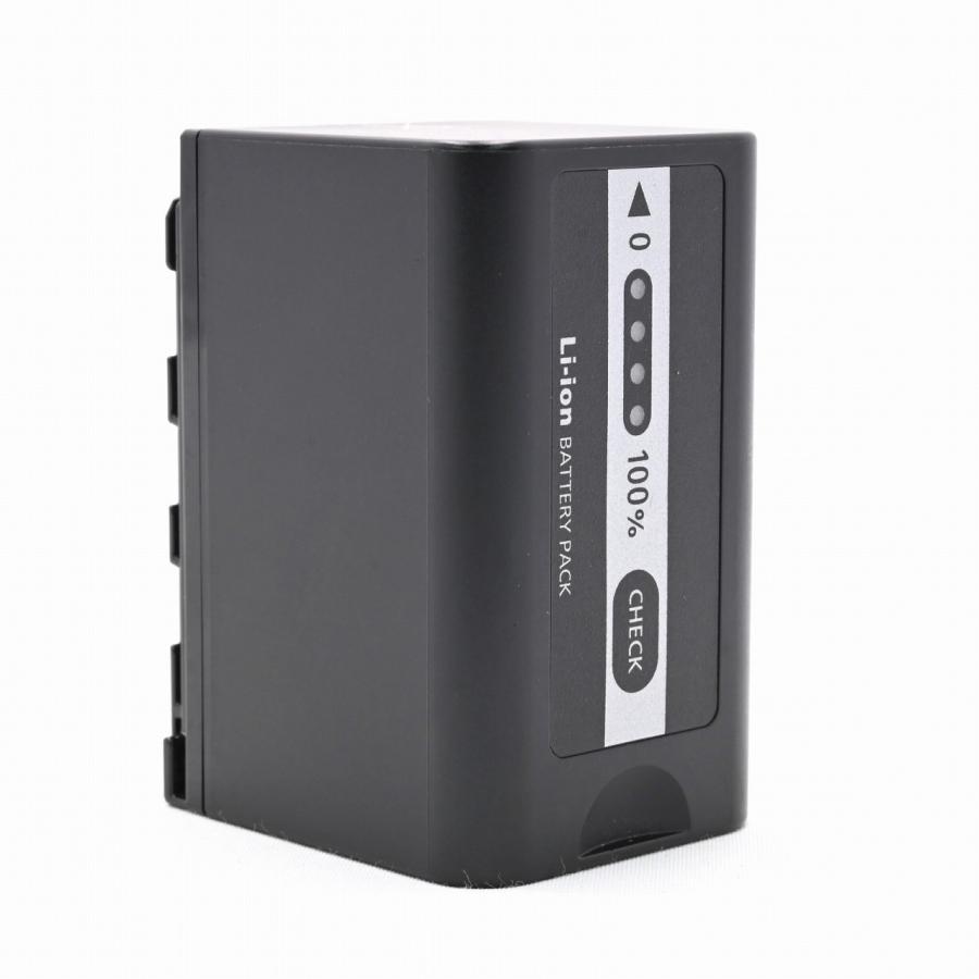 パナソニック Panasonic VW-VBD58 バッテリーパック : フラッグシップ