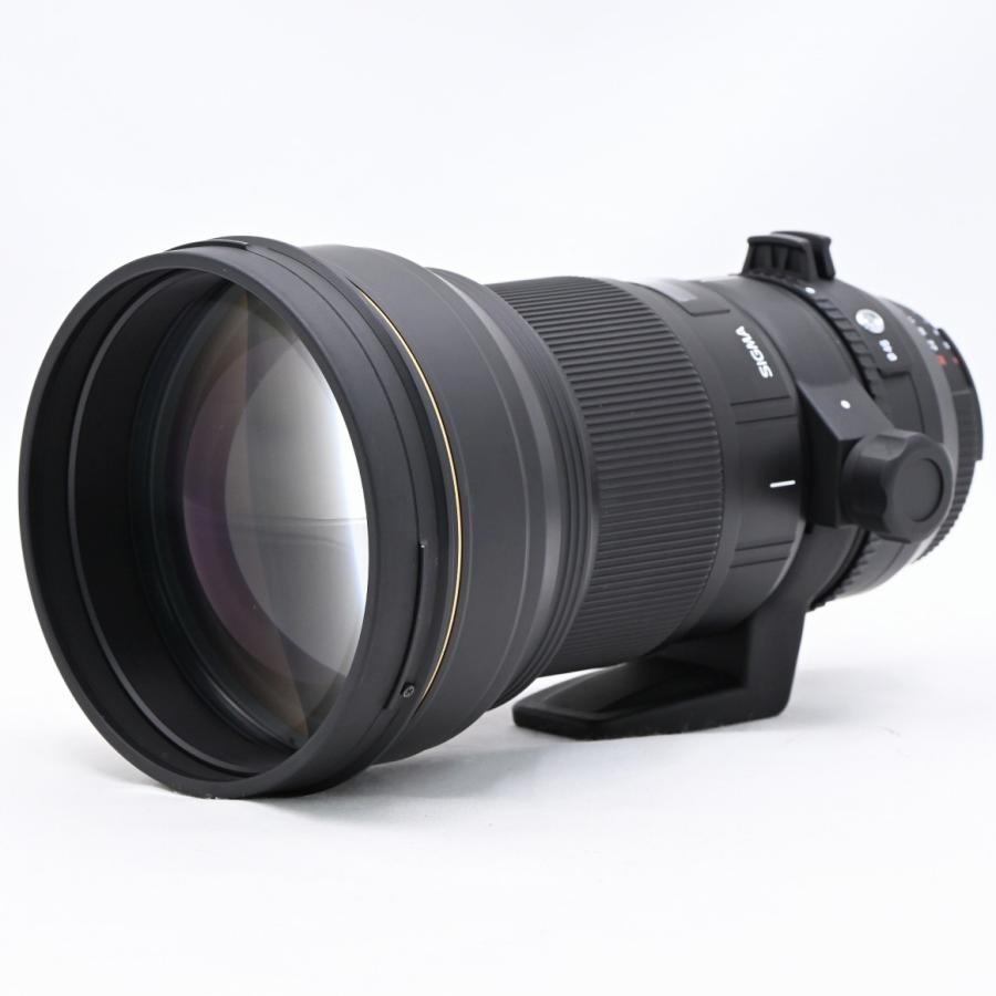 SIGMA シグマ APO 300mm F2.8EX DG HSM ニコンF用 : フラッグシップ