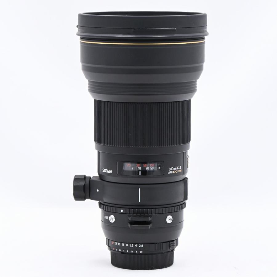 SIGMA シグマ APO 300mm F2.8EX DG HSM ニコンF用 : フラッグシップ