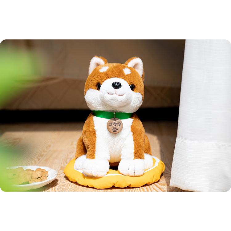 こんにちワン！しばいぬコウタ （バンダナつきセット） 音声認識