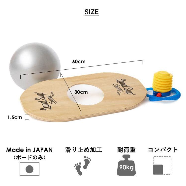 爆買☆クーポン】バランスボード LandSup Crazy mini ランドサップ