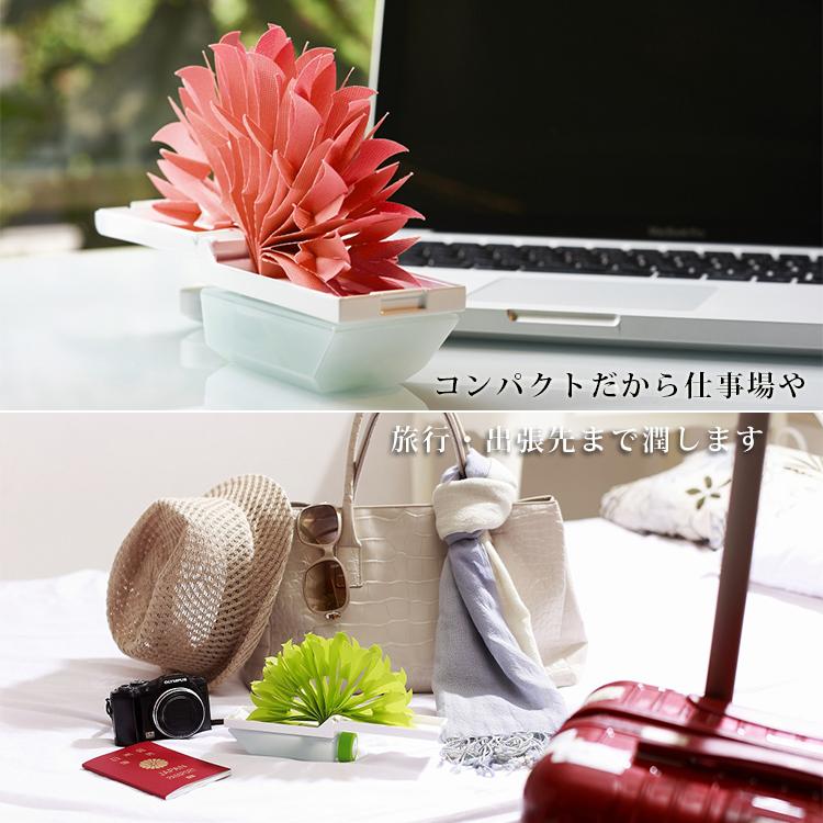 ミクニ ライフ&オート TV紹介！ 本体・交換フィルターセット