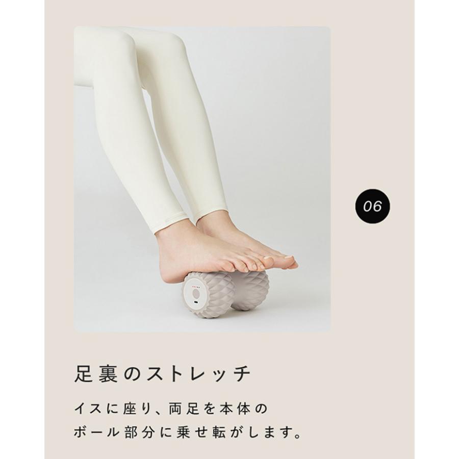 SIXPAD（シックスパッド） パワーローラー ツインズ SIXPAD Power