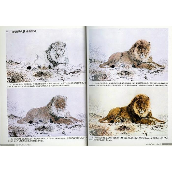 水墨画 / 水墨画集 中国画集 墨彩画 絵手紙 日本画 中国美術書 [名家