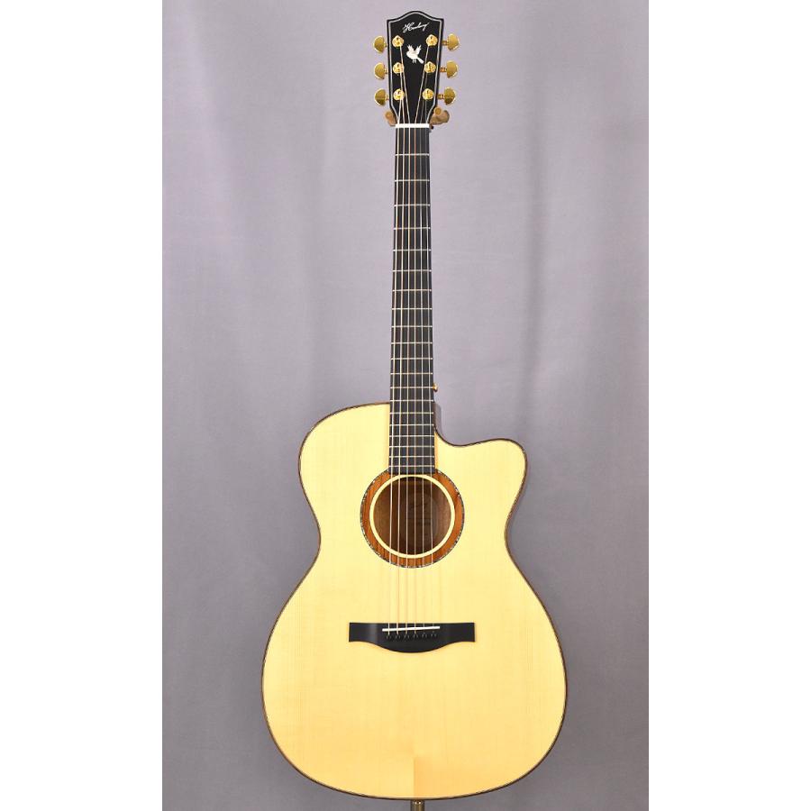 Headway アコースティックギター Headway Japan Tune-up Series HOC