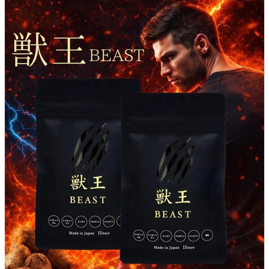 獣王beastサプリ ビースト 45粒 2袋 メンズ トンカットアリ アルギニン