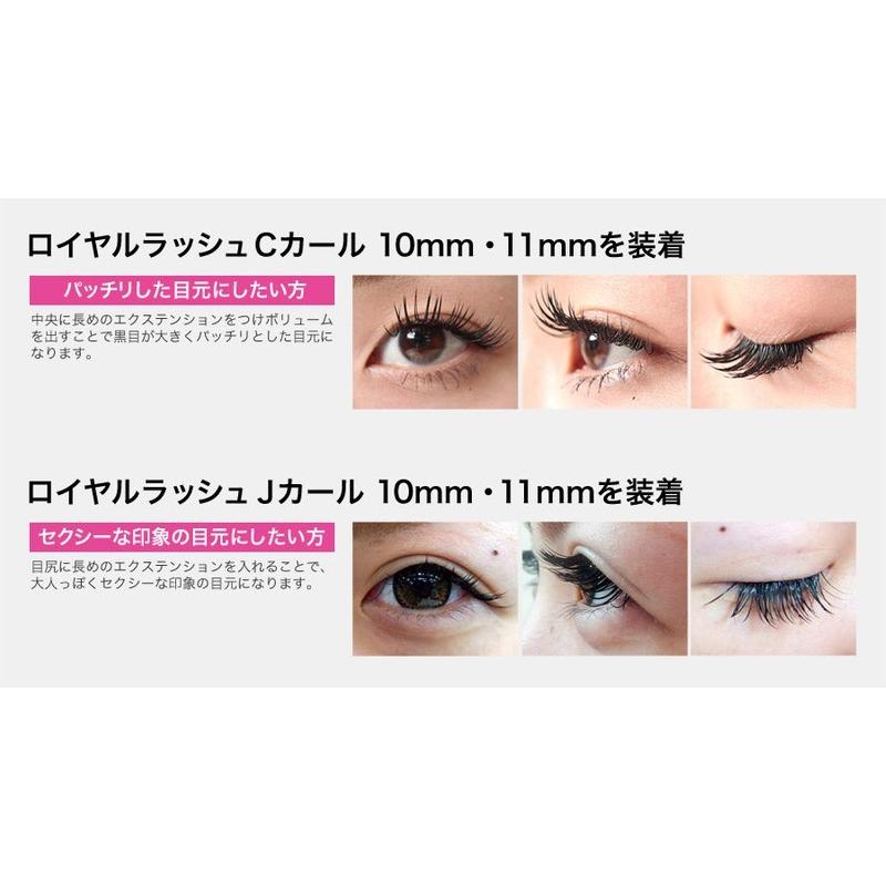 まつげエクステ キット C 1本タイプ 新12点セット 大人アイ ロイヤル