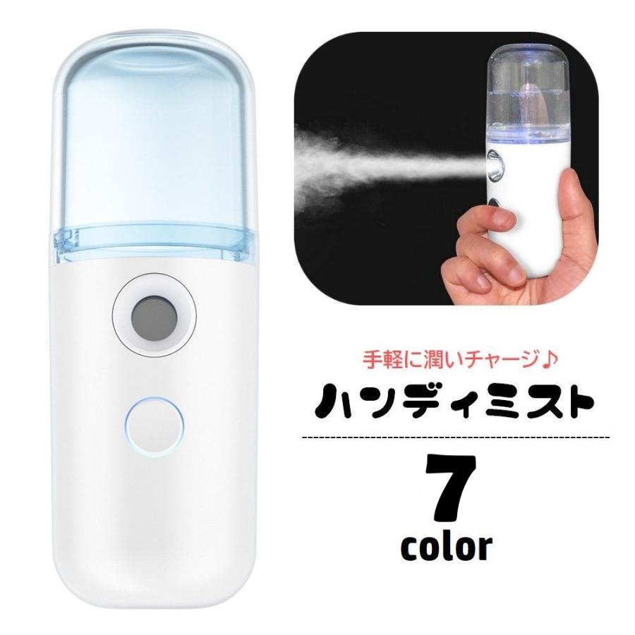ハンディ ミスト フェイススチーマー 30ml 充電式 美顔器 美容器 保湿