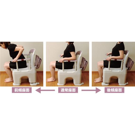 Panasonic（パナソニック） ポータブルトイレ 座楽 ラフィーネ PN