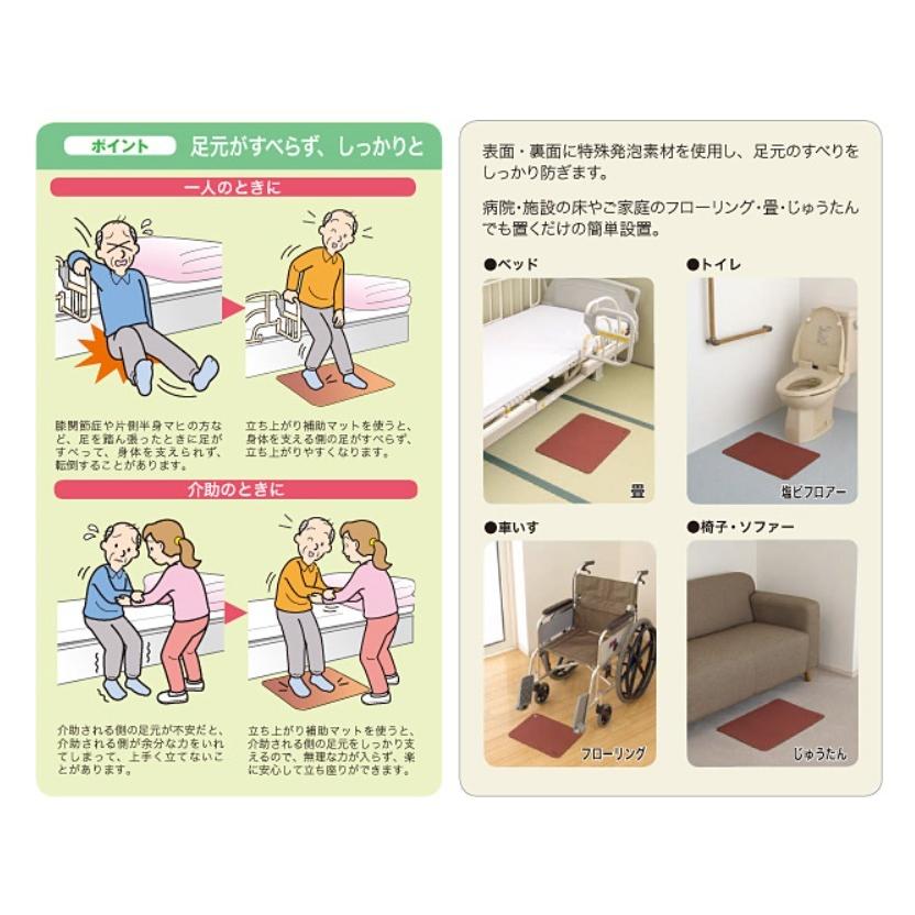 アロン化成 立ち上がり補助マット 据置用 安寿 55×38cm メーカー品番