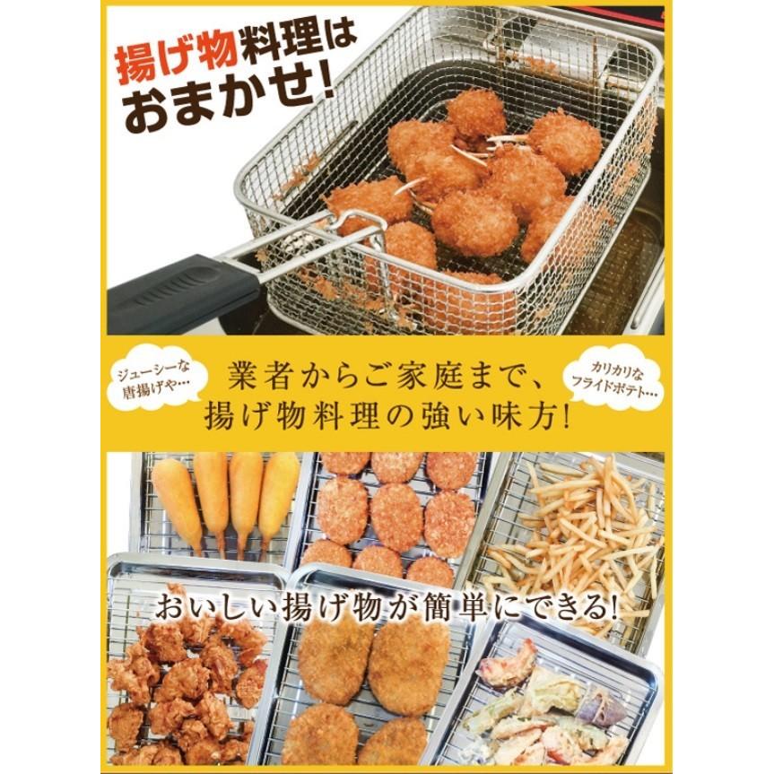 電気フライヤー FL-DS4 ミニフライヤー 4L 卓上フライヤー 電気 卓上