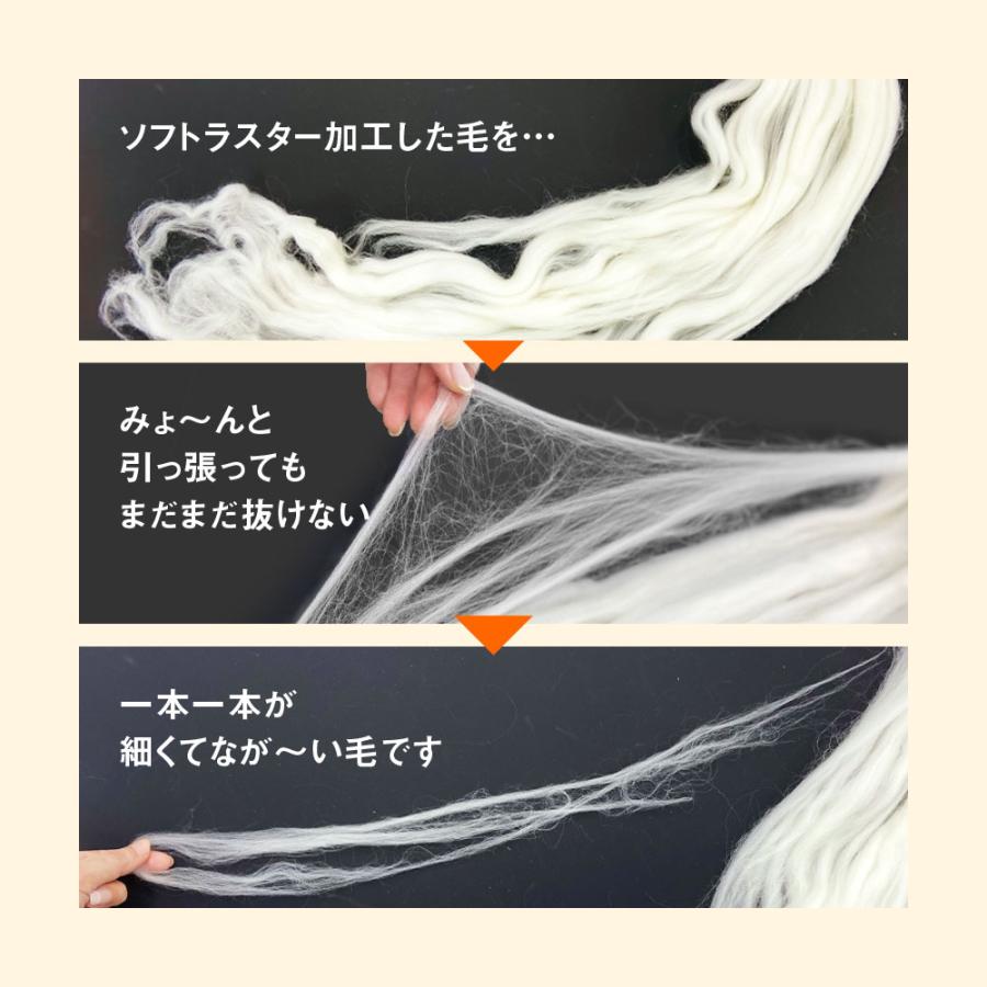 ディーブレス 毛布 The PREMIUM Sofwool 敷き毛布 シングル