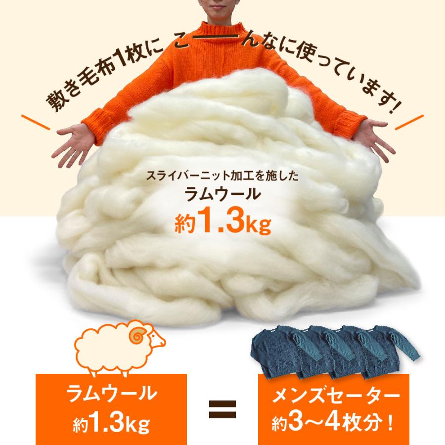 ディーブレス 毛布 The PREMIUM Sofwool 敷き毛布 シングル