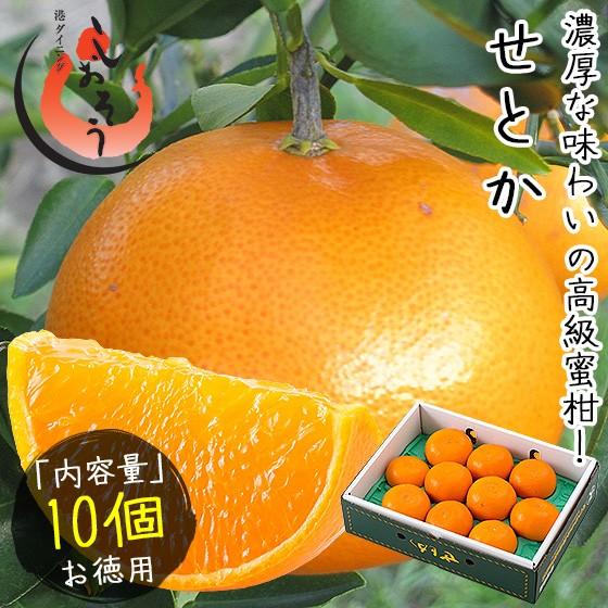せとか みかん 3L 10個入り 愛媛県産 （着日指定不可） 爆買 : 港