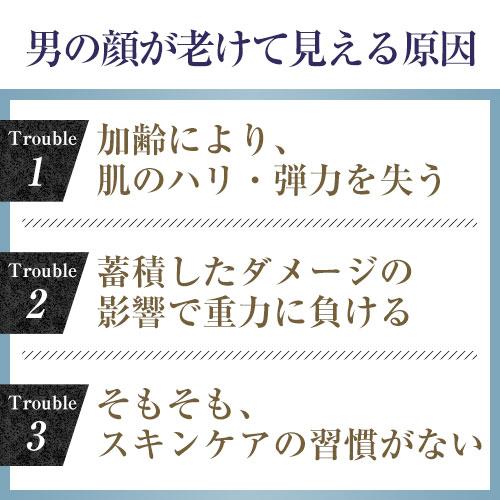 HARISHU/ハリシュミストローション内容量30mlx5セット 北の快適工房