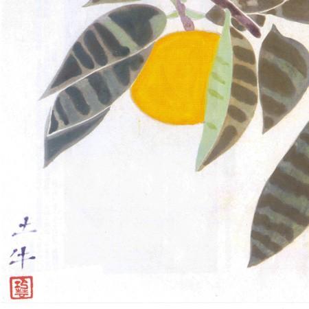奥村土牛 掛け軸 蜜柑 【掛軸】【一間床・半間床】【丈の短い掛軸