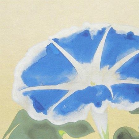 奥村土牛 掛け軸 朝顔 【掛軸】【一間床・半間床】【丈の短い掛軸