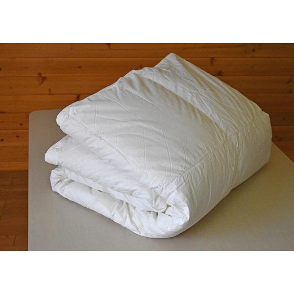 フランスベッド（FRANCEBED） 羽毛肌掛ふとん クイーンサイズ