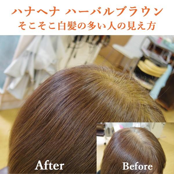 ヘナ ハナヘナ hana henna ハーバルブラウン 100g 白髪染め ブラウン