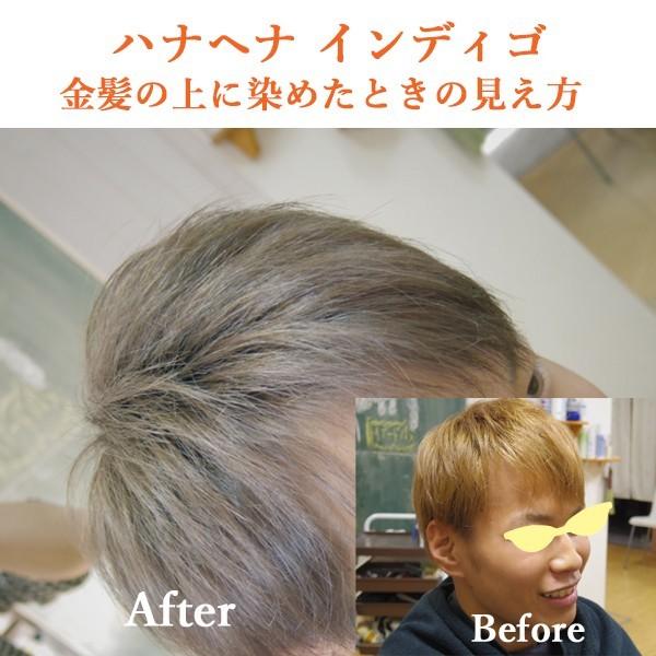 ヘナ ハナヘナ hana henna インディゴ 100g 5個セット 白髪染め 藍色