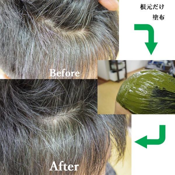 ヘナ ハナヘナ hana henna インディゴ 100g 5個セット 白髪染め 藍色