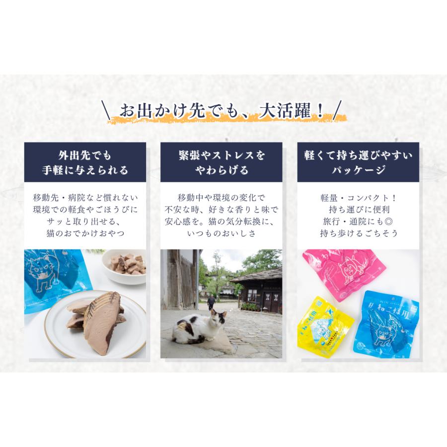 キャットフード 猫 子猫 シニア猫 #ねこ様用 60g 10袋 スモークカツオ