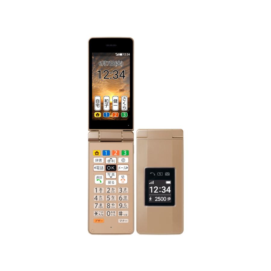 かんたん携帯10 807SH ソフトバンク 白ロム 本体 ガラホ ネットワーク