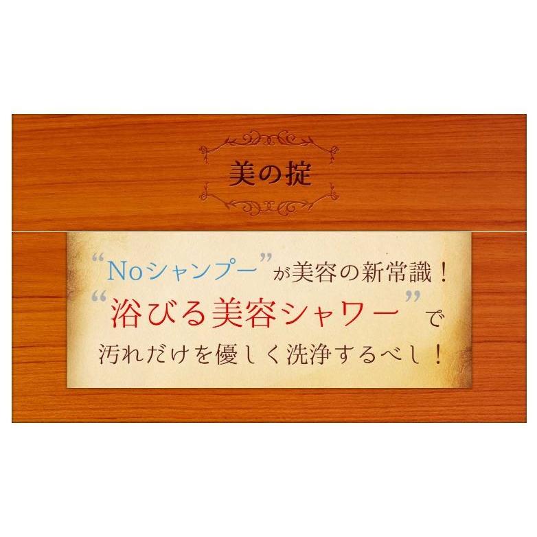 湯シャンタブレット シャワーヘッド+タブレット10錠入り ノー