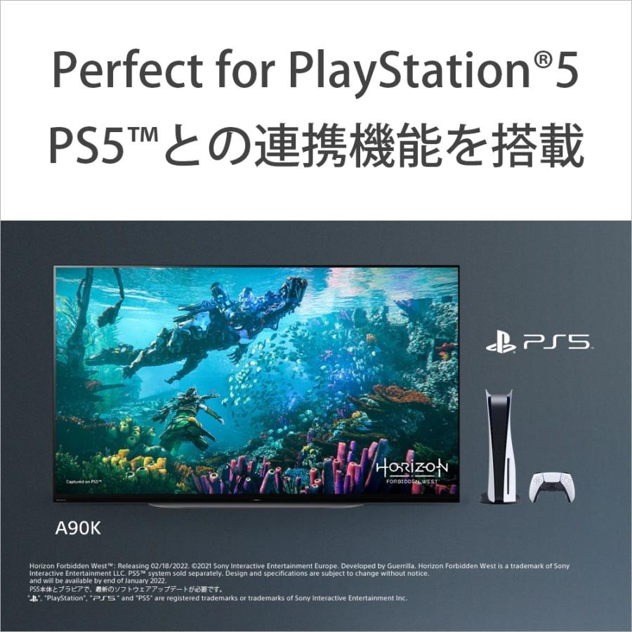 ソニー 48型 有機ELパネル 4Kチューナー内蔵テレビ : サカイ卸売