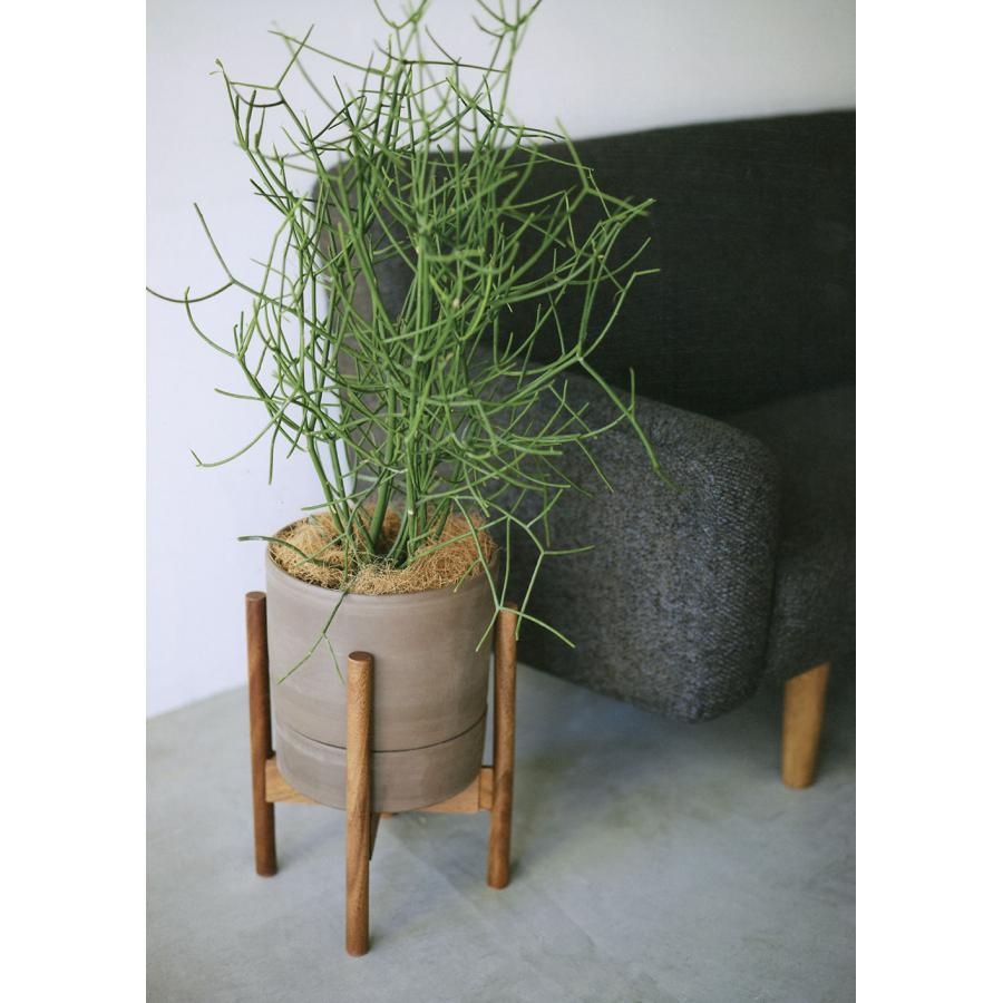 植木鉢 受け皿付き テラコッタ おしゃれ 人気 おすすめ プランター