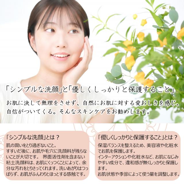 ルナレーナ フレッシュアップEX 225g （洗顔料・パック）×2個セット