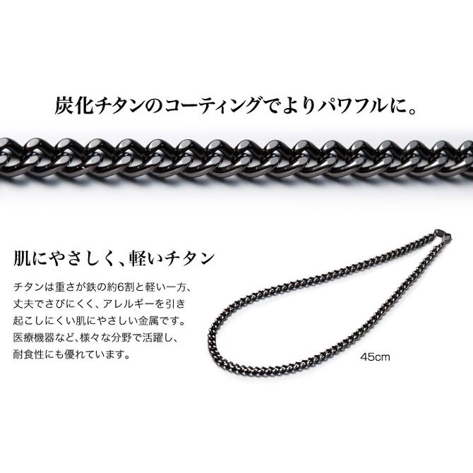Phiten（ファイテン） 炭化チタンチェーン ネックレス 45cm | メンズ