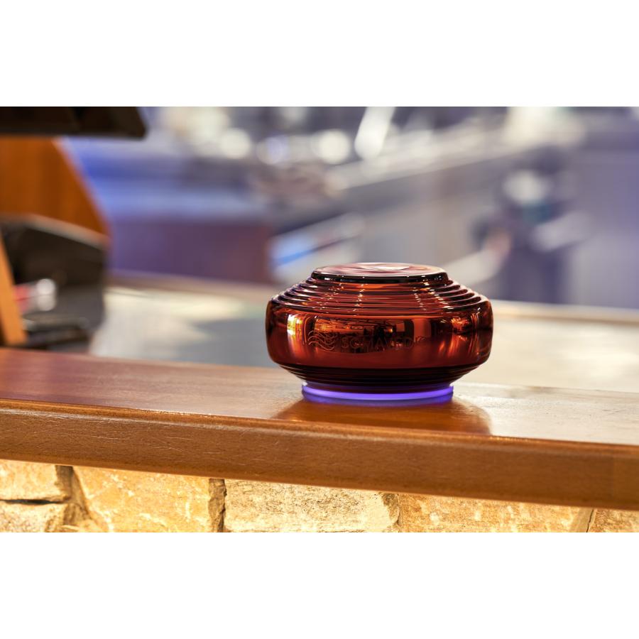 5年保証 ソマヴェディック アンバー セカンドジェネレーション : 健康