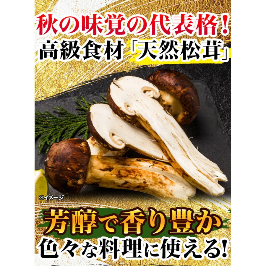 マツタケ まつたけ 天然 快適生活 天然高級 松茸不揃い 500g 土瓶蒸し