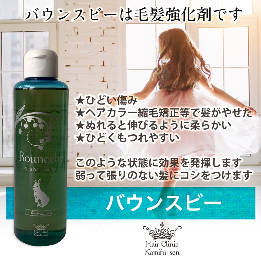 くせ毛 アウトバストリートメント 縮毛矯正や ヘアカラーで傷んだ髪 髪