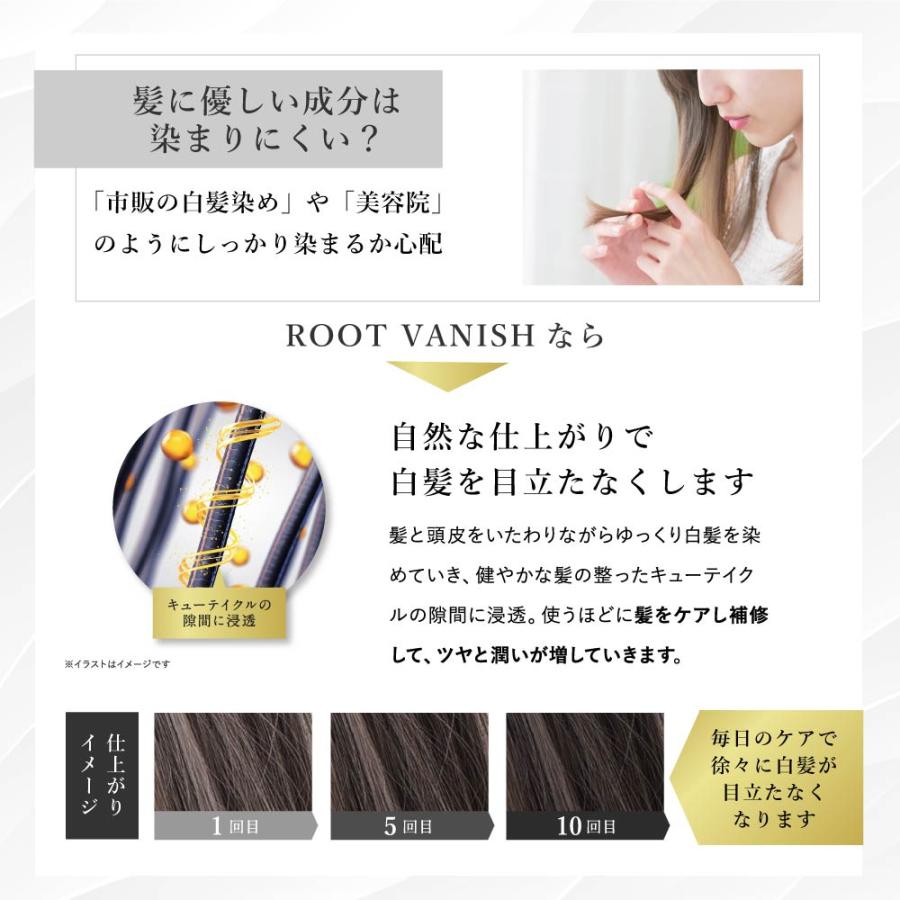 綺和美 白髪染め 2本セット カラーシャンプー 部分染め ヘアマニキュア