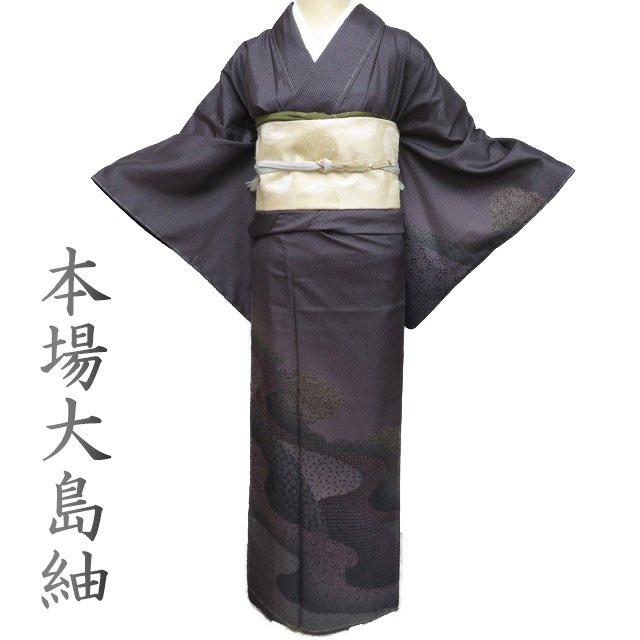 本場 大島紬 着物 未使用 正絹 袷 セミフォーマル ラベル付き 江戸小