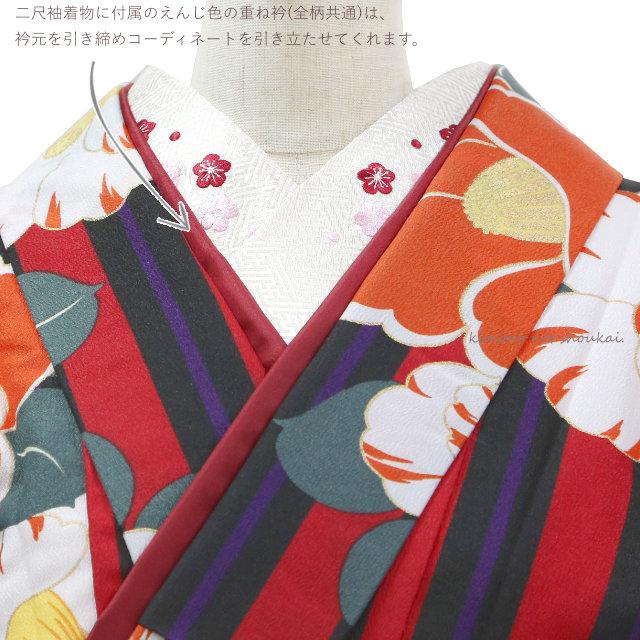 袴用 二尺袖着物 長襦袢 2点セット 着物 セット 夢千代 ト 卒業式