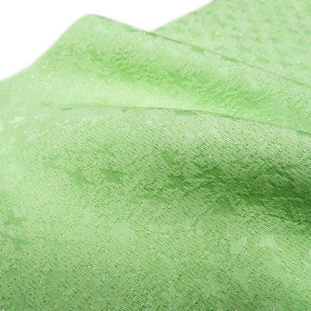 色無地 着物 中古 正絹 袷 カジュアル 紋なし 地模様 金通し 若緑色