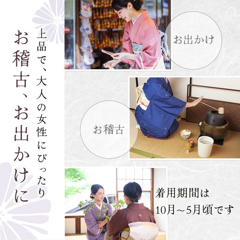 シルック 洗える着物 袷 東レ あわせ 色無地 紋入れ 東レシルック