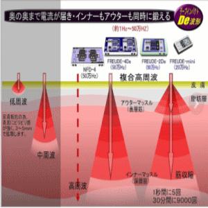 送料無料 (株)テクノリード フロイデ 本体 業務用 50万Hz 2De NFD-2×1