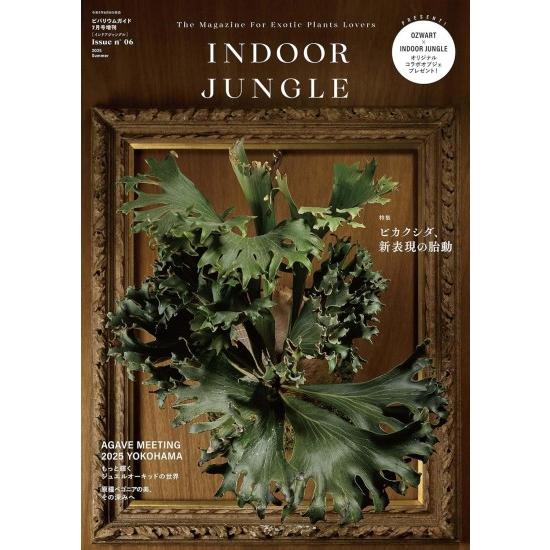 INDOOR JUNGLE (インドアジャングル) Issue.06 ビカクシダ[雑誌